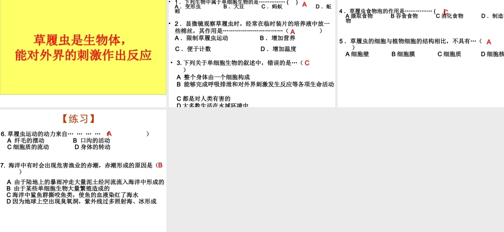 单细胞生物（新）