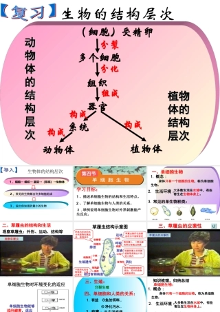 单细胞生物（新）