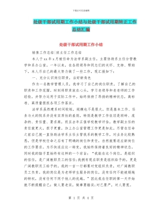 处级干部试用期工作小结与处级干部试用期转正工作总结汇编