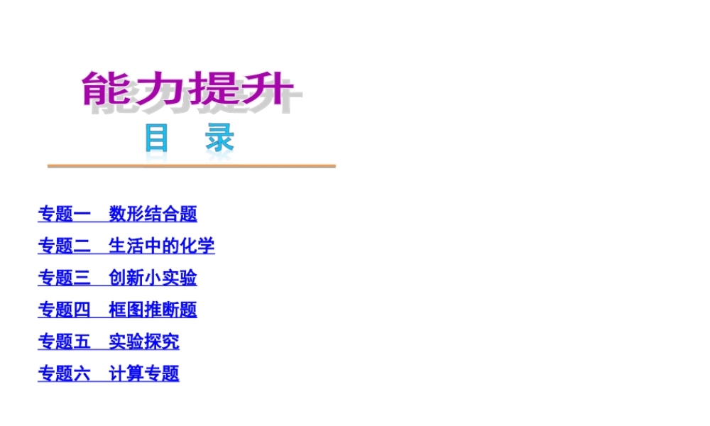 中考化学复习方案课件：目录·能力提升