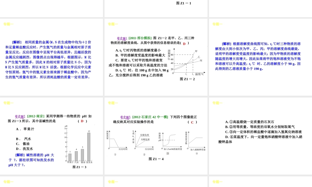 中考化学复习方案课件：目录·能力提升