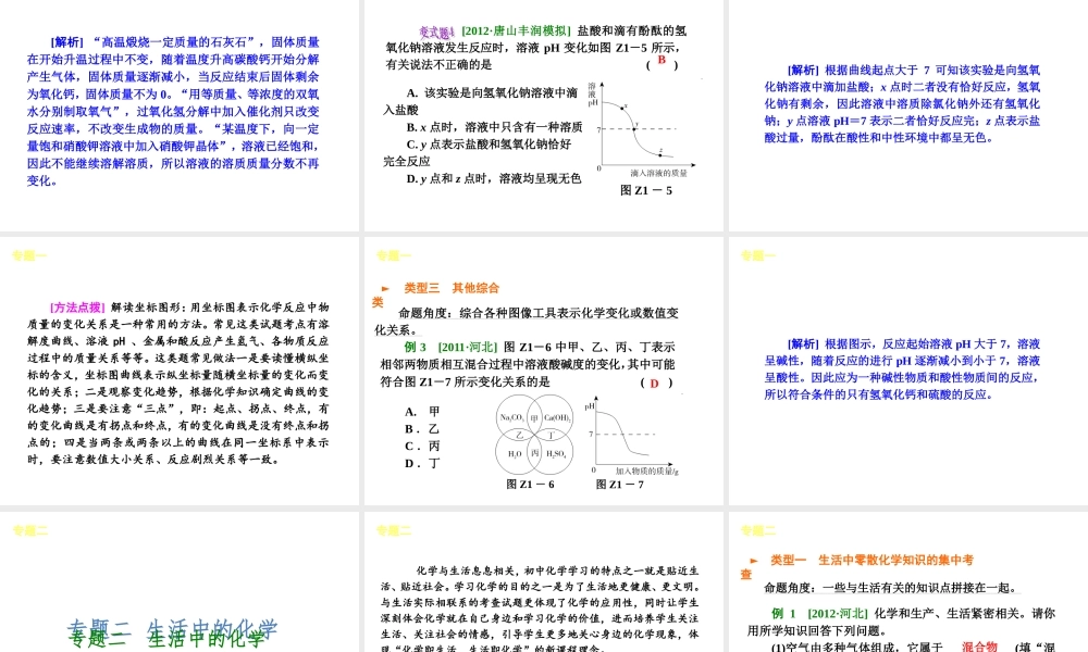 中考化学复习方案课件：目录·能力提升