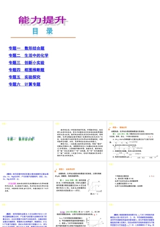 中考化学复习方案课件：目录·能力提升
