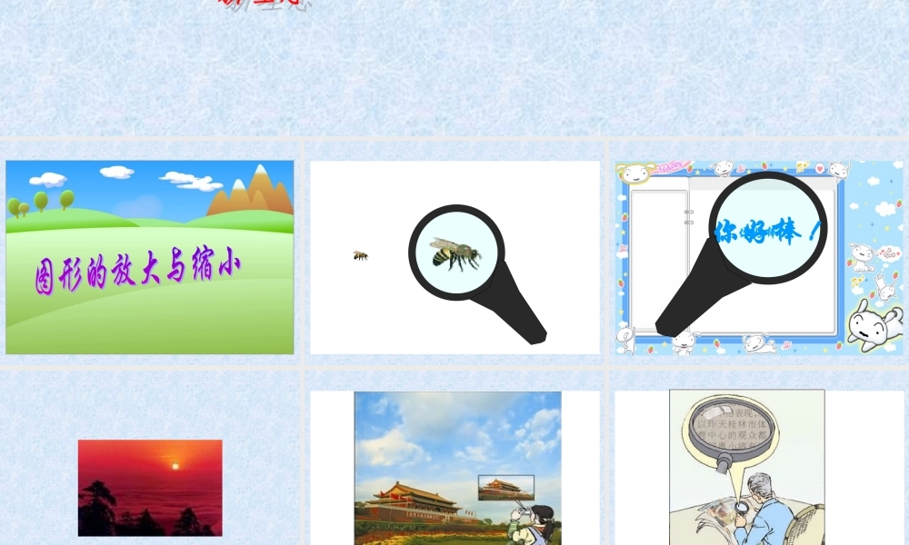 六年级图形的放大和缩小