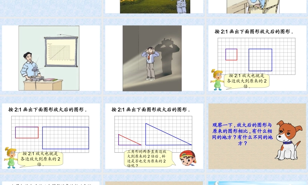 六年级图形的放大和缩小