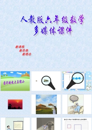 六年级图形的放大和缩小