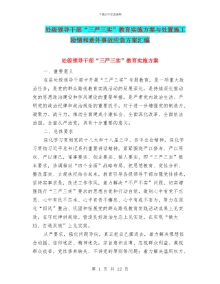 处级领导干部“三严三实”教育实施方案与处置施工险情和意外事故应急方案汇编