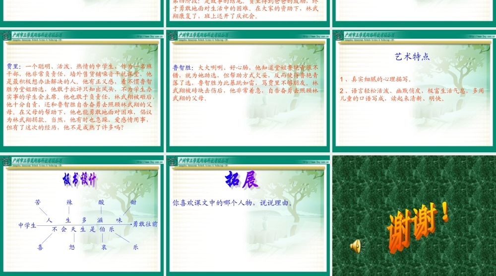 《选举风波》PPT