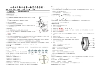 九年级生物导学案第一课
