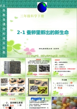 蚕卵里孵出的新生命周二