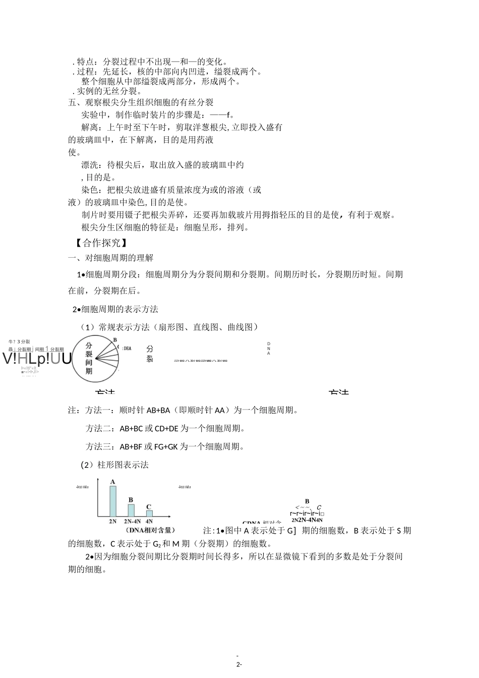 细胞增殖导学案_第2页