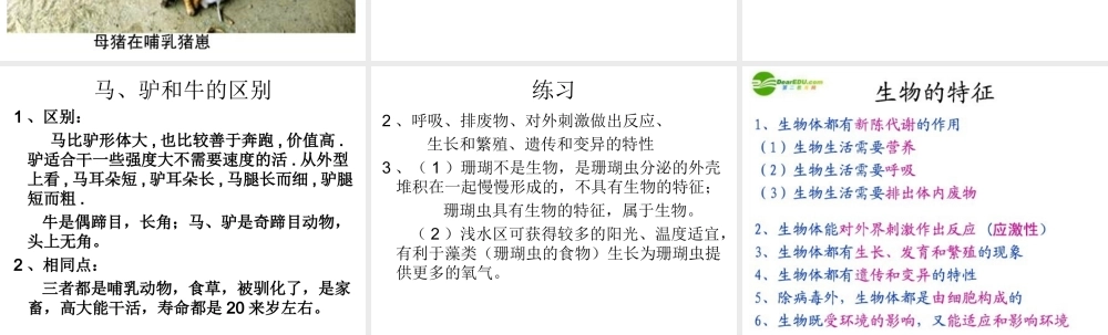 第一节生物的特征