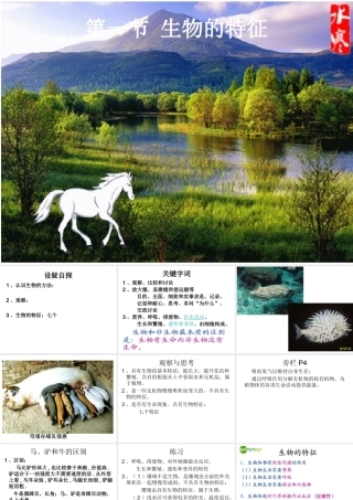 第一节生物的特征