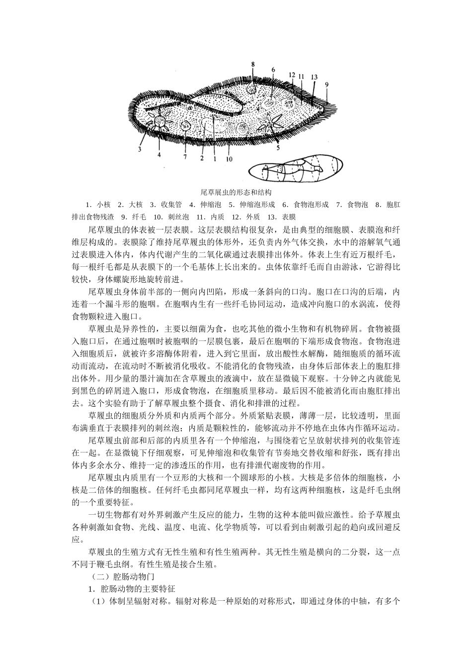 高中生物无脊椎动物竞赛辅导讲座_第四章_第2页