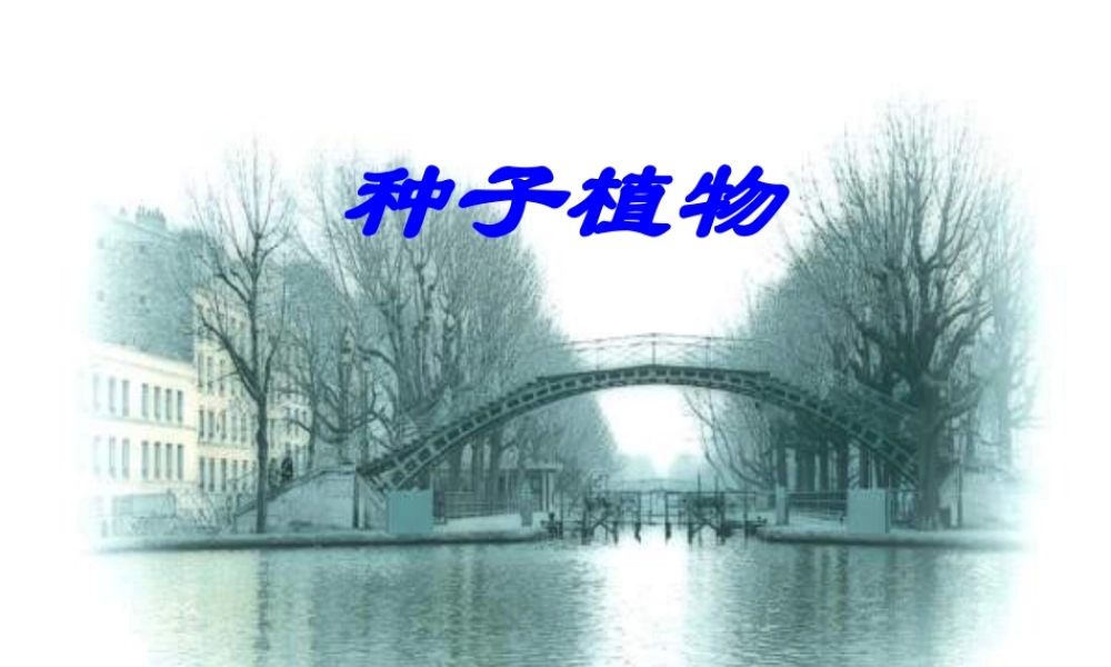 七年级生物种子植物