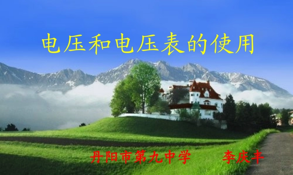 电压和电压表的使用