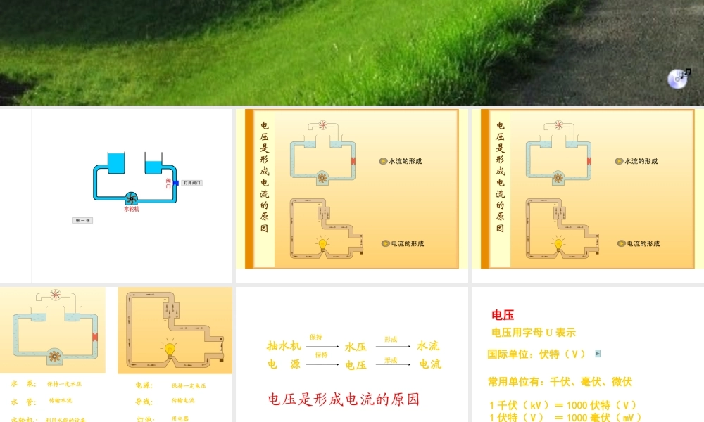 电压和电压表的使用