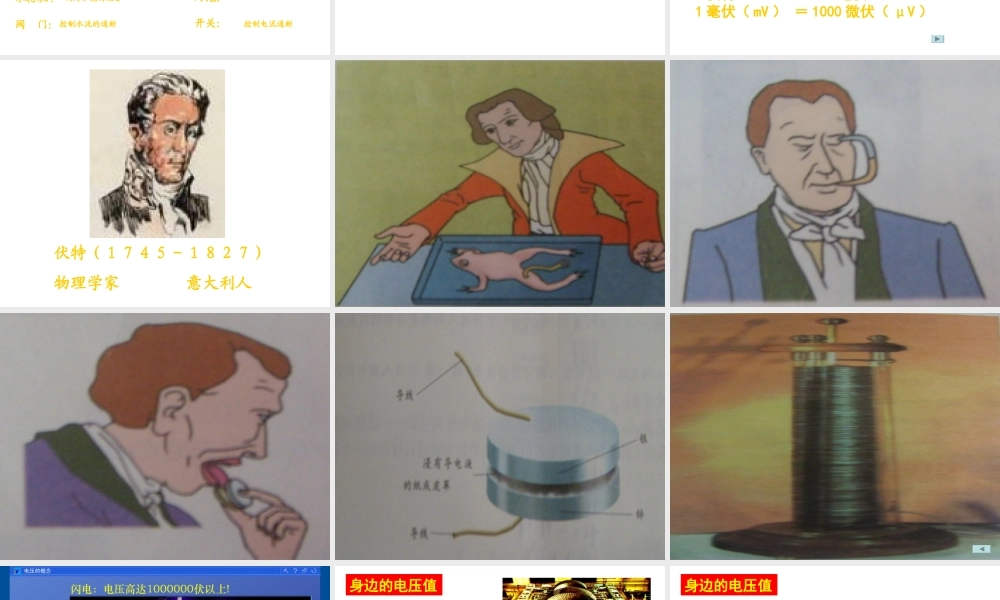 电压和电压表的使用