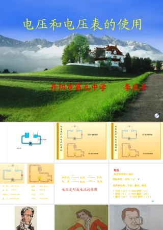 电压和电压表的使用