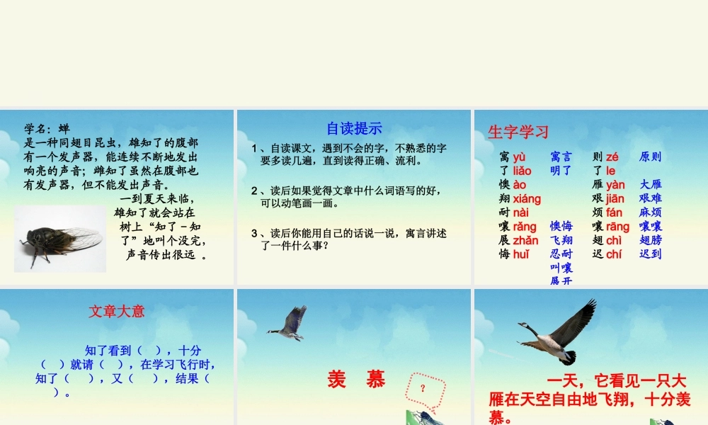 《知了学飞》教学课件