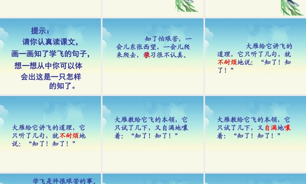 《知了学飞》教学课件