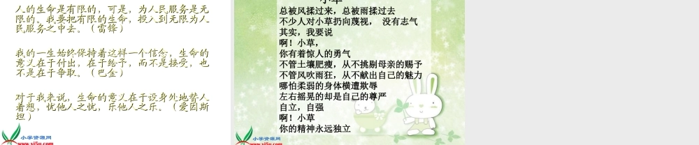《花的勇气》PPT课件之二