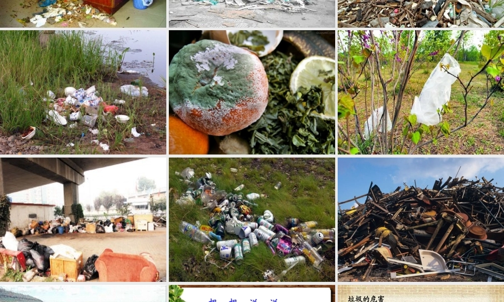 《我们身边的垃圾》幻灯片