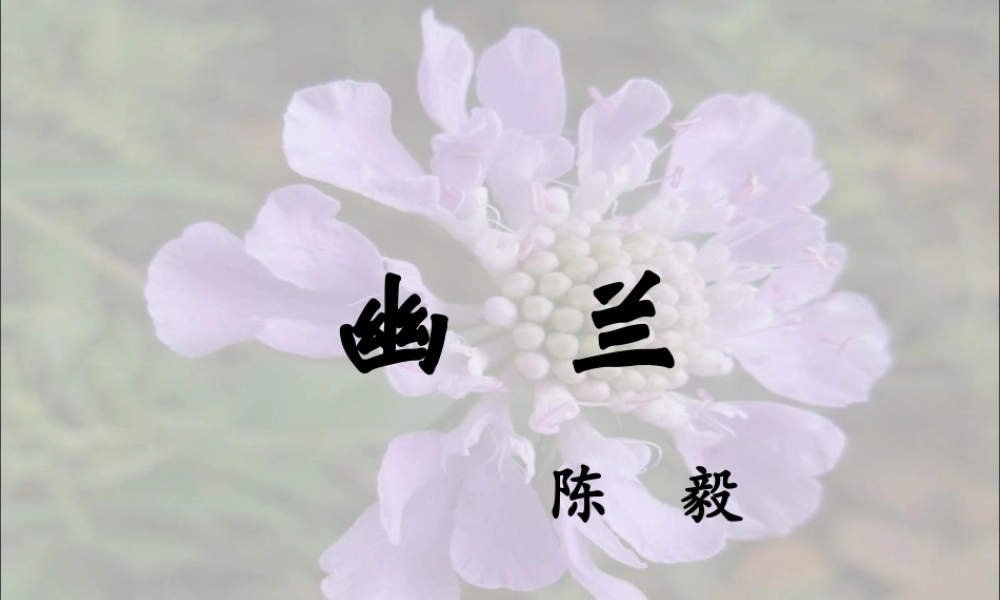 《幽兰》教学课件
