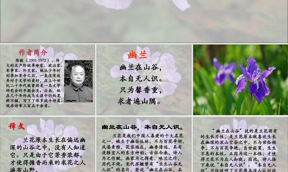 《幽兰》教学课件