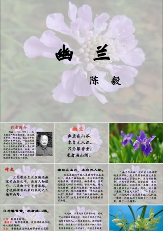 《幽兰》教学课件