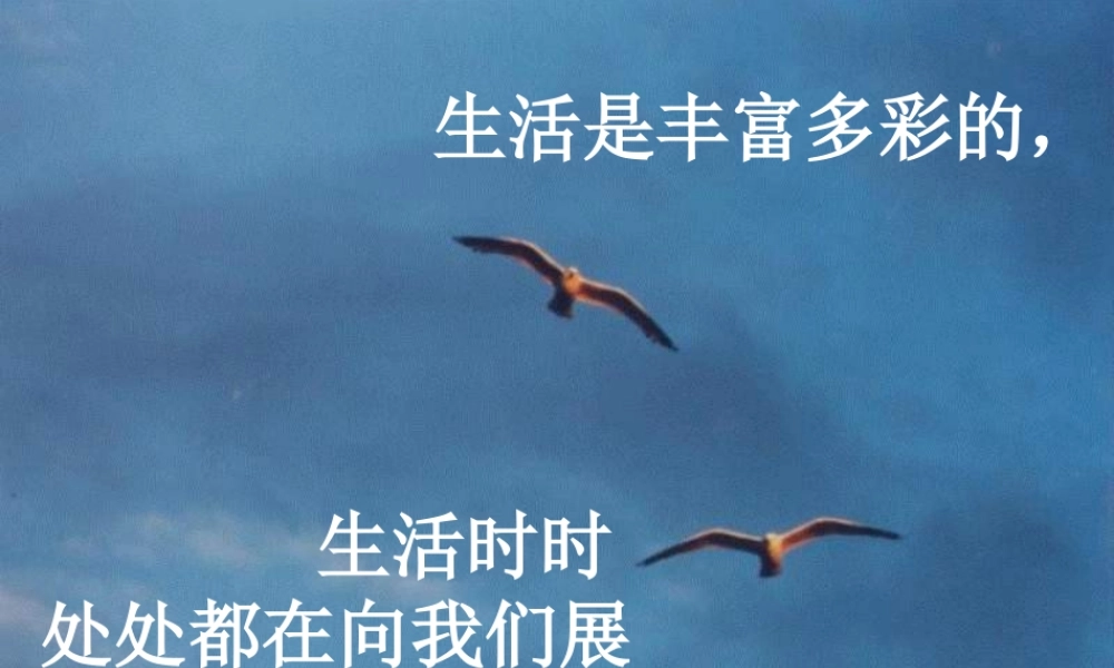 八年级语文海燕定稿