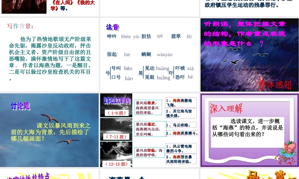 八年级语文海燕定稿