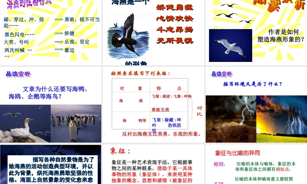 八年级语文海燕定稿