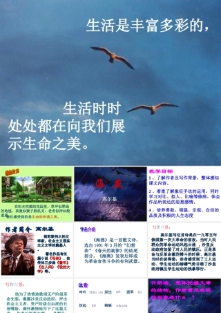 八年级语文海燕定稿