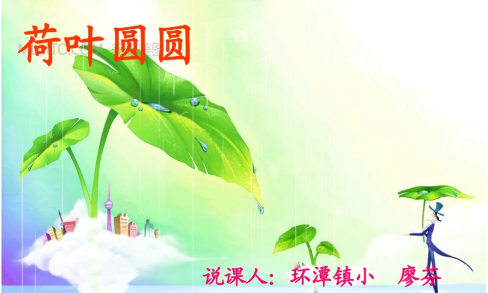 荷叶圆圆说课课件