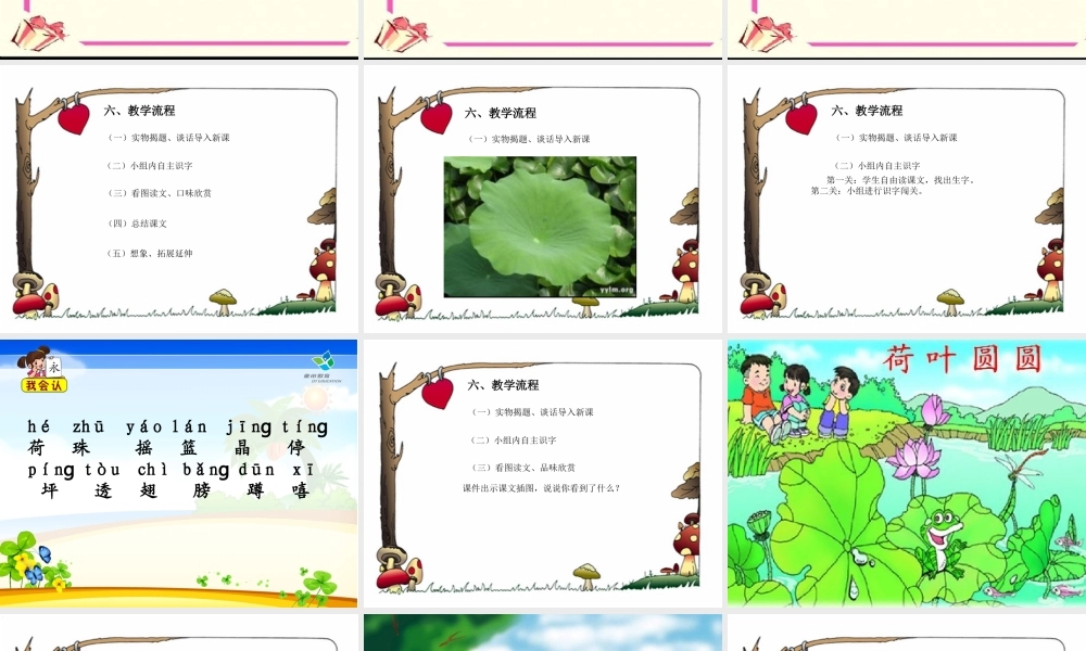 荷叶圆圆说课课件
