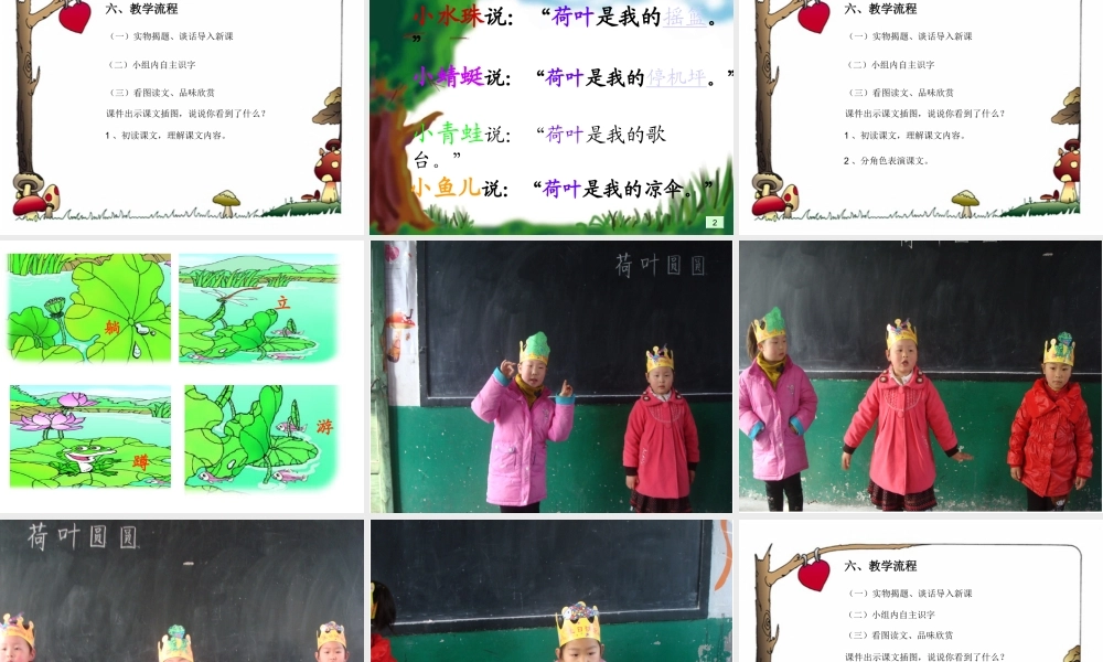 荷叶圆圆说课课件