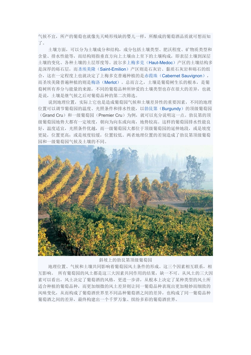 葡萄酒基础知识_第2页