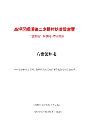 互联网农业项目方案策划书