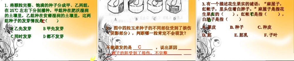 【精品课件二】第一节种子的萌发