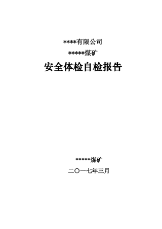 煤矿安全体检自检报告