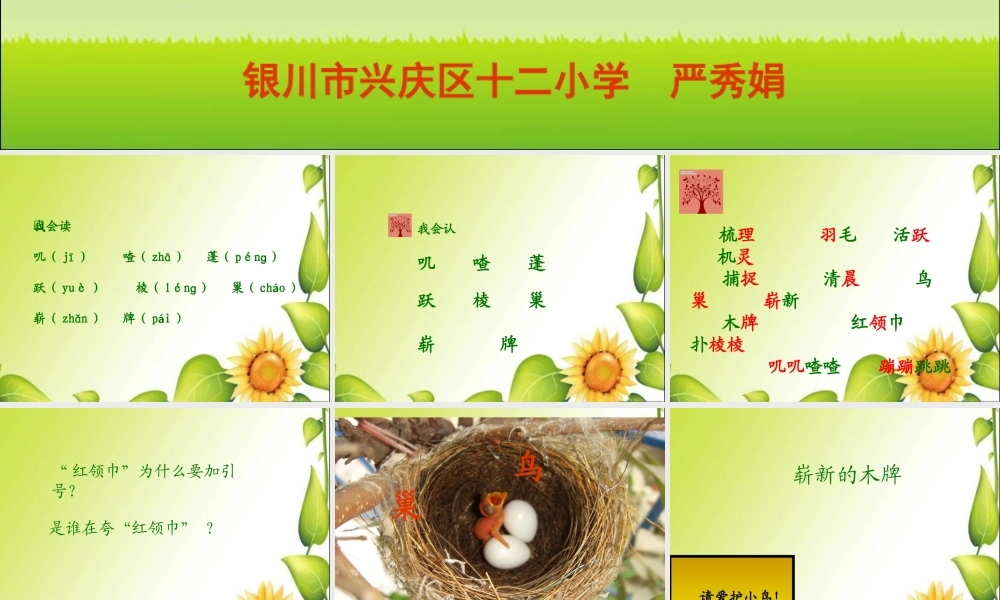 新课标人教版二年级语文上册_《红领巾真好》PPT课件