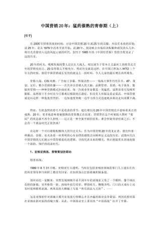 中国营销年猛药催熟的青春期上