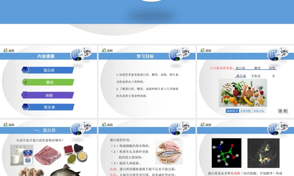 《人类重要的营养物质》教学课件