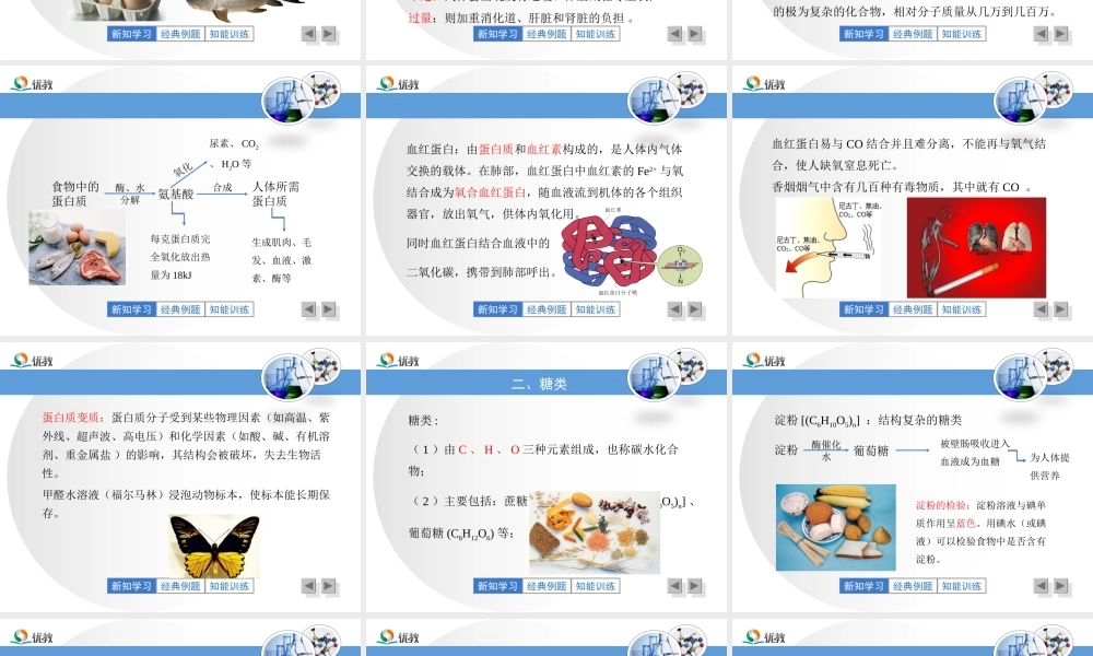 《人类重要的营养物质》教学课件