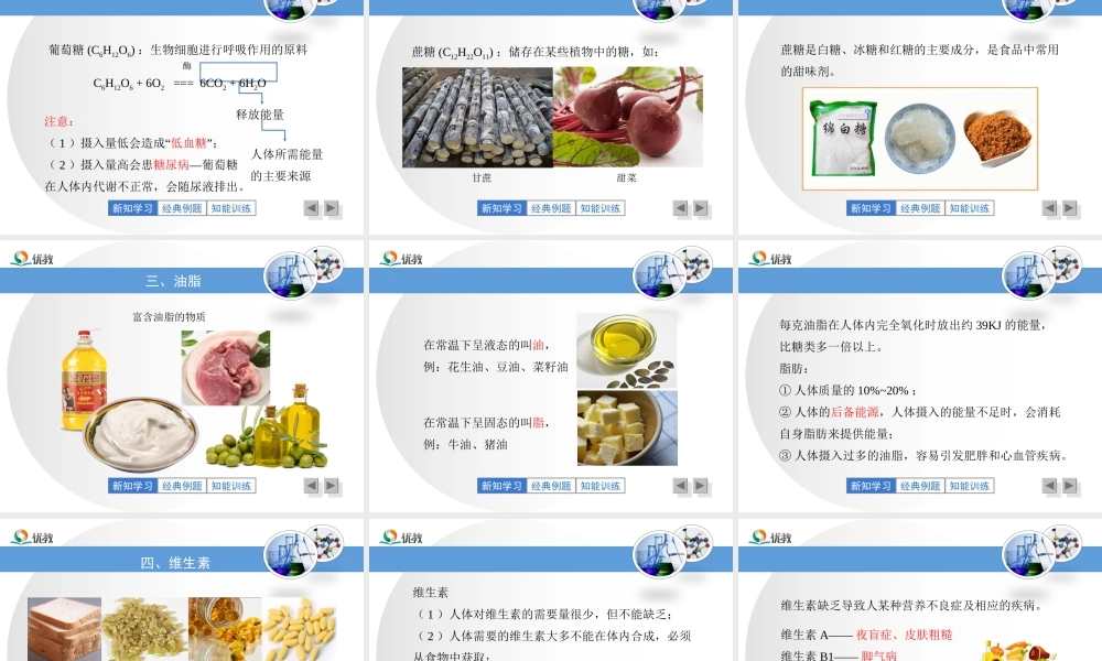 《人类重要的营养物质》教学课件