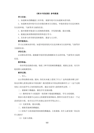 《树木中的纹路》参考教案