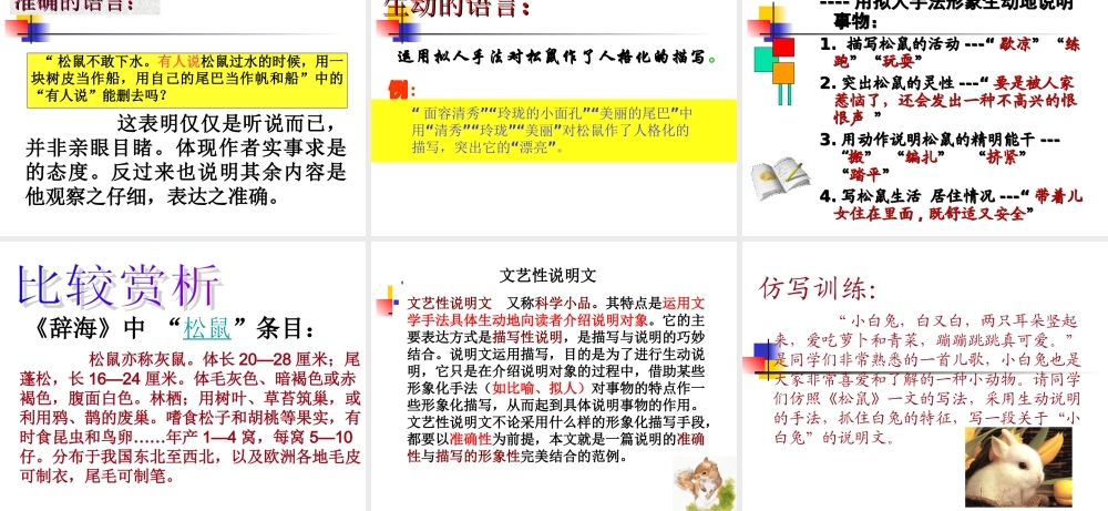 《松鼠》新课件