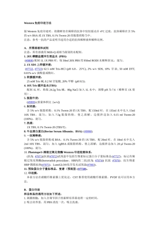 Western免疫印迹常见问题解答-赛信通（上海）生物试