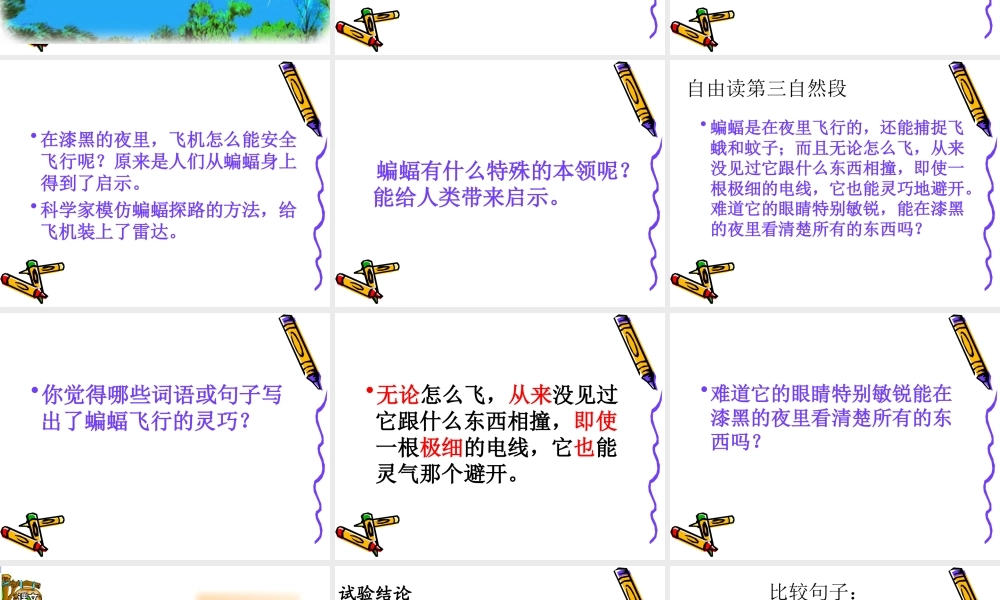 新建蝙蝠与雷达课件